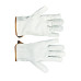 PALLIDA leather gloves 