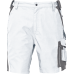  ALLYN shorts